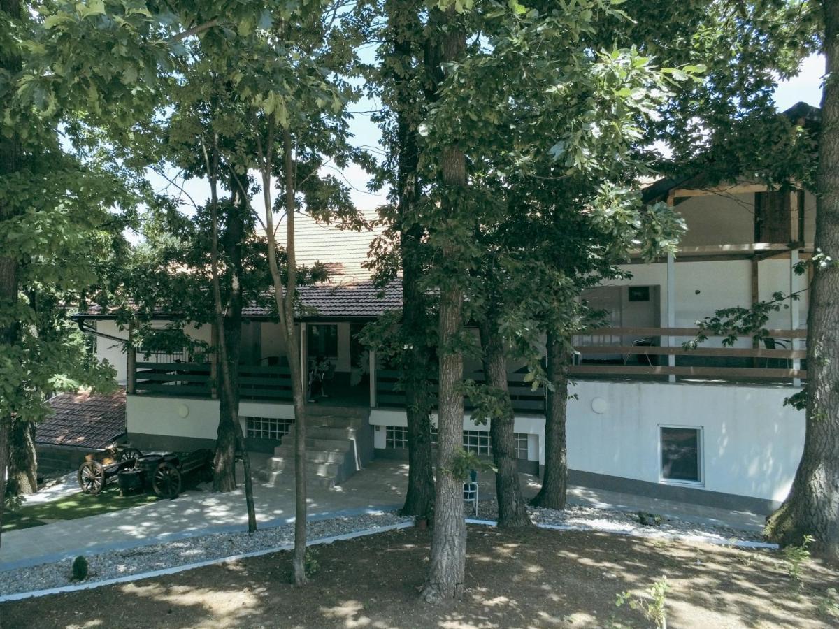 Konak Ljubica Rtanj Boljevac Zewnętrze zdjęcie